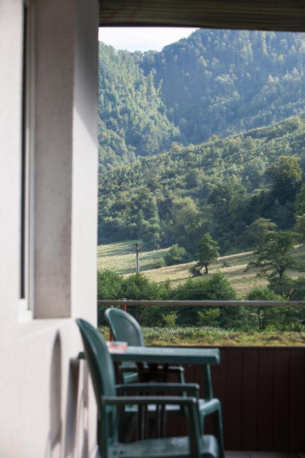 Hôtel Time-Out - Valea Oltului à Balota  Extérieur photo